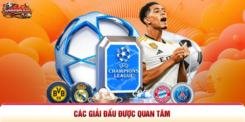 Các giải đấu được quan tâm