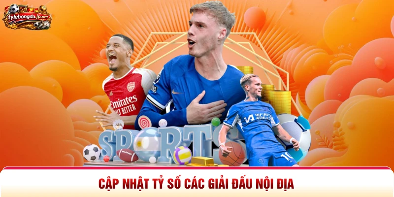 Cập nhật tỷ số các giải đấu nội địa