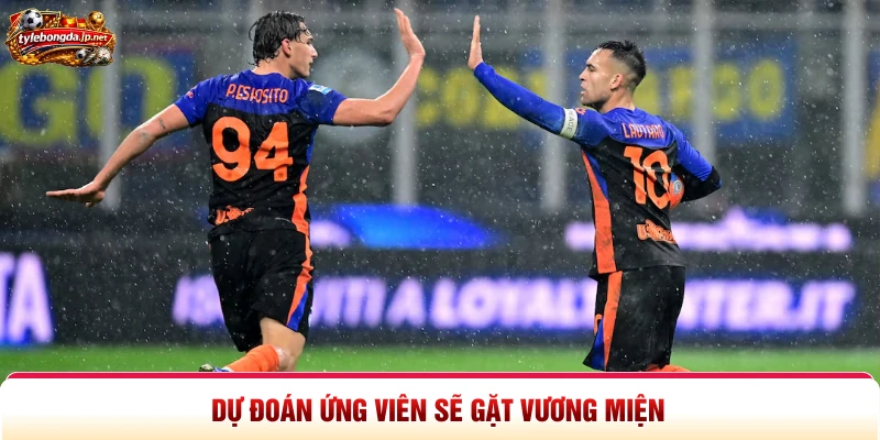 Dự đoán ứng viên sẽ gặt vương miện